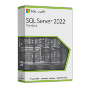 SQL server 2022 standard